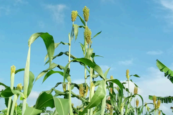 Screenshot 2025-09-11 160403