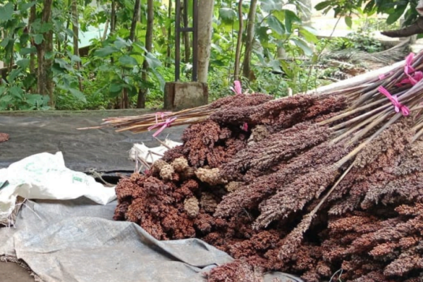 Screenshot 2025-09-11 160549