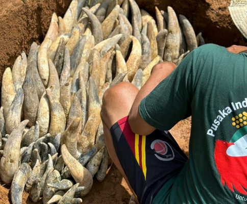 Screenshot 2025-09-11 160611