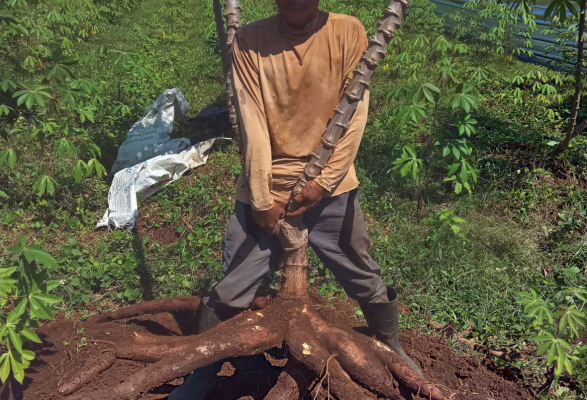 Screenshot 2025-09-11 160758