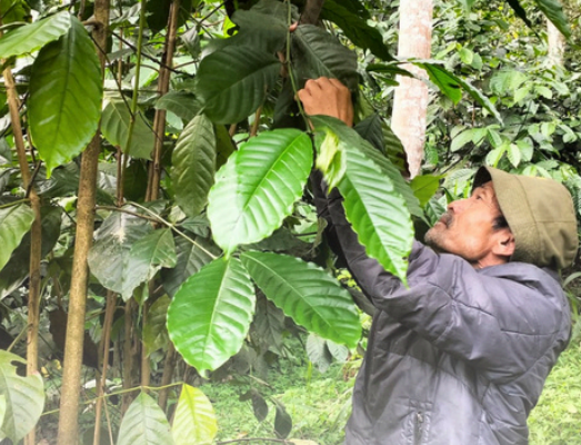 Screenshot 2025-09-11 161105