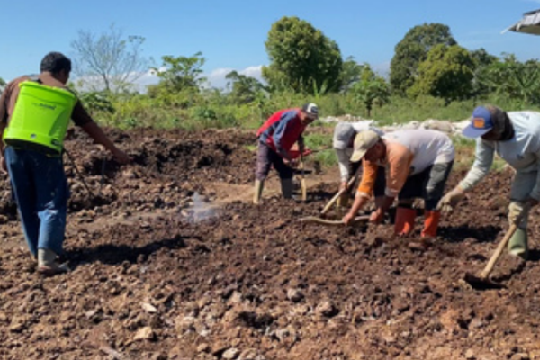 Screenshot 2025-09-11 161131