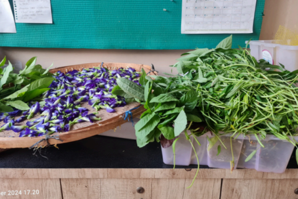 Screenshot 2025-09-11 161138